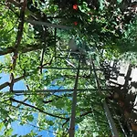 克劳迪奥住宿加早餐酒店 招待所 3*